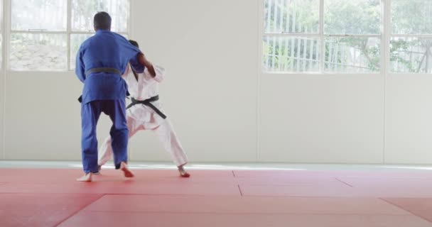 Zijaanzicht Van Een Gemengd Ras Mannelijke Judo Coach Tiener Gemengde — Stockvideo