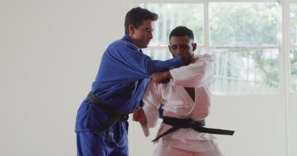 Zijaanzicht Van Een Gemengd Ras Mannelijke Judo Coach Tiener Gemengde — Stockvideo