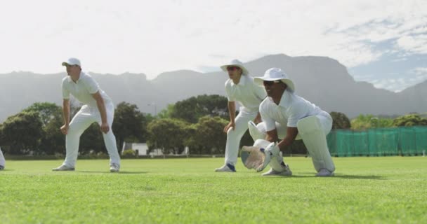 一群身穿白色球衣 蹲在板球场地上 在阳光灿烂的慢镜头下等待和接球的多种族少年男子板球运动员的侧视图 — 图库视频影像