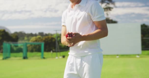 フロントビュー10代の白人男性クリケット選手のセクションの真ん中に白い服を着て ボールを保持し ボウルに準備 スローモーションで — ストック動画