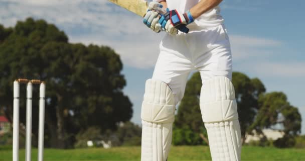 侧视特写 一名年轻的白人男子板球运动员头戴头盔和手套在球场上 手持板球棍 在板球比赛中以慢动作在蓝云的天空中挥杆击球 — 图库视频影像