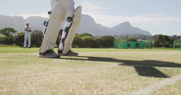 Vista Lateral Bajo Ángulo Adolescente Críquet Caucásico Usando Casco Sosteniendo — Vídeo de stock