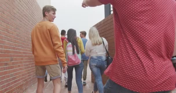 Visão Traseira Grupo Multi Étnico Adolescentes Alunos Escolas Masculinas Femininas — Vídeo de Stock