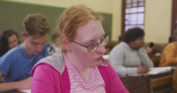 옆에는 코카서스 소녀가 고등학교 교실에서 책상에 집중하고 모습이 그려져 급우들 — 비디오