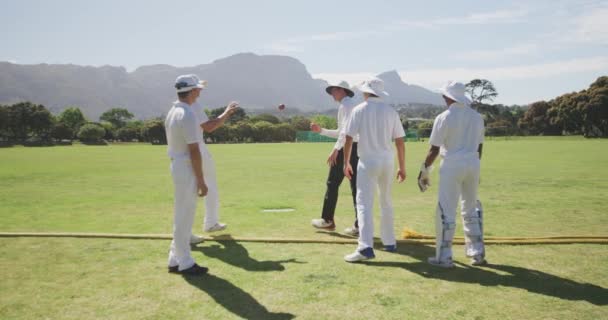 一群年轻的多种族男性板球运动员身穿白色球衣 在板球球场上行走 一个接一个地扔板球 在阳光灿烂的日子里慢动作地讨论着比赛的情景 — 图库视频影像