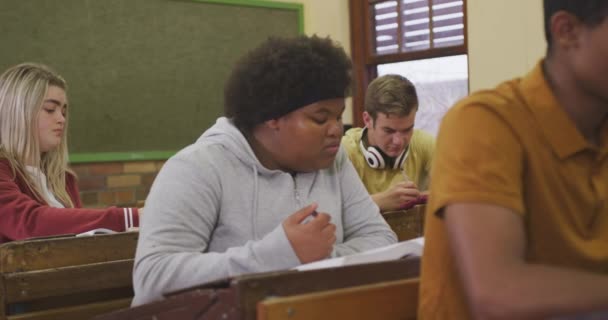 在高中教室里 一个年轻的非洲裔美国女孩坐在书桌前 专心致志地看书 一群年轻的男同学和女同学坐在她身边的书桌前慢吞吞地干活 — 图库视频影像