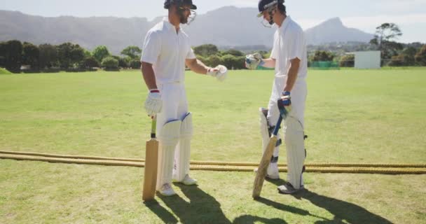 Sidovy Två Tonåriga Multietniska Manliga Cricketspelare Som Bär Vita Och — Stockvideo