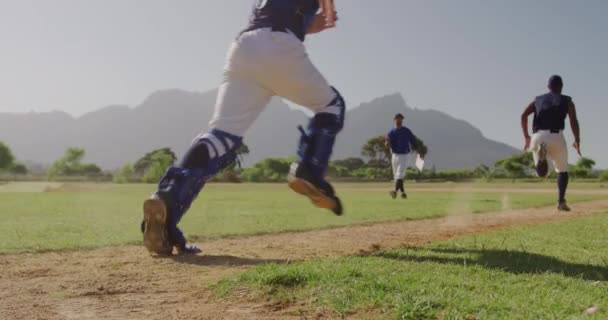 Вид Сзади Многонациональную Группу Бейсболистов Мужчин Готовящихся Перед Игрой Тренирующихся — стоковое видео