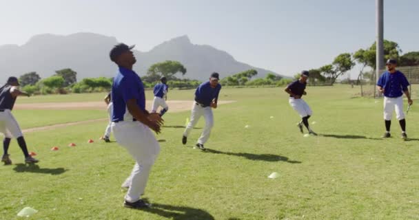 多民族男子棒球队的前景色 在赛前准备 在阳光灿烂的日子里 慢动作地在运动场上锻炼和锻炼 — 图库视频影像