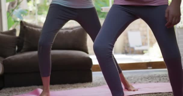 Vooraanzicht Van Een Tiener Blank Meisje Haar Zwangere Moeder Genieten — Stockvideo