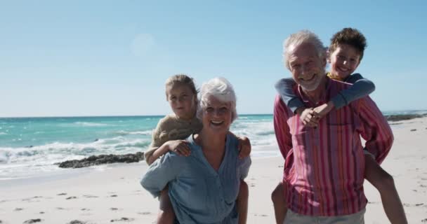 Portret Van Een Gelukkig Blank Stel Hun Kleinzoon Kleindochter Die — Stockvideo