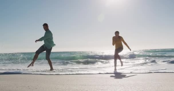 해변에서 시간을 즐기고 바다와 하늘을 배경으로 천천히 남녀의 뒷모습 — 비디오