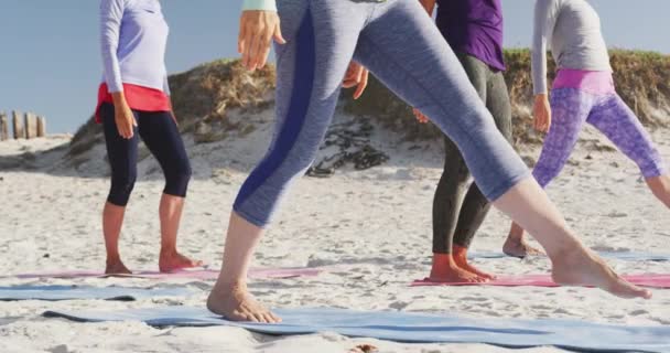 Sidovy Mitt Grupp Vita Kvinnliga Vänner Som Njuter Fritid Strand — Stockvideo