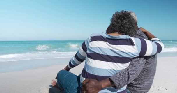 Vista Trasera Una Pareja Afroamericana Mayor Sentada Playa Con Cielo — Vídeos de Stock