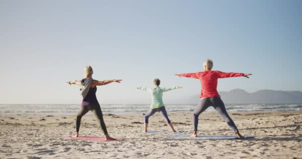 Widok Tyłu Grupy Białych Koleżanek Korzystających Wolnego Czasu Plaży Nad — Wideo stockowe