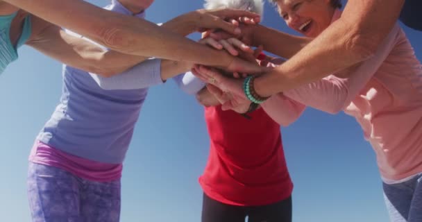 晴れた日に一緒に海でビーチで自由な時間を楽しむ白人女性の友人のグループの低角度ビュー 手スタッキングとスローモーションで祝う — ストック動画