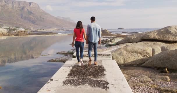 Vue Arrière Couple Mixte Jouissant Temps Libre Dans Nature Par — Video