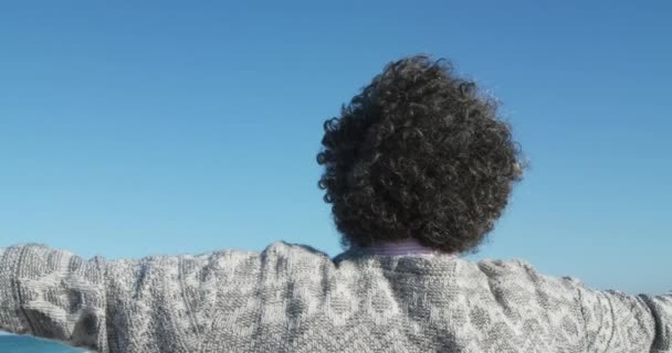 Bakifrån Syns Äldre Afroamerikansk Kvinna Stå Stranden Med Blå Himmel — Stockvideo