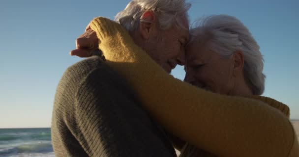在海滩上 一对身穿毛衣 抱着头 摸着头 背景为蓝天和大海 动作缓慢的白种人夫妇的侧视图 — 图库视频影像