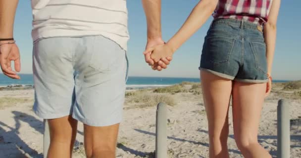 一个年轻的白人男女老少手牵着手在海边阳光灿烂的海滩上享受着闲暇时光 — 图库视频影像
