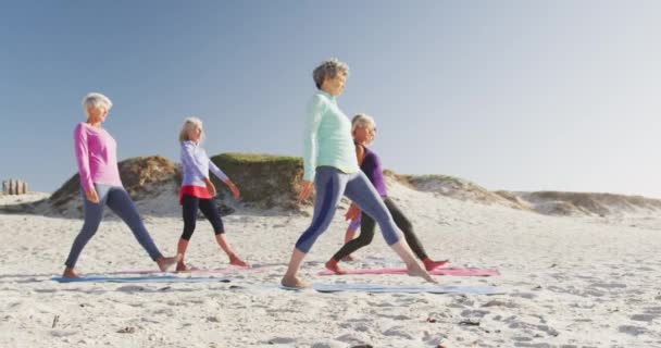 在阳光明媚的日子里 一群白种人的女性朋友一起在海边享受着闲暇时光 慢慢地在空中练习瑜伽 — 图库视频影像