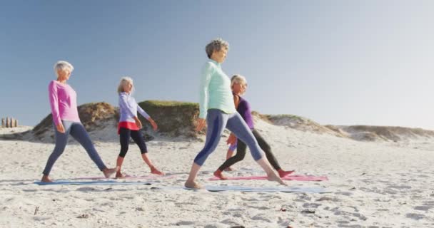 Widok Boku Grupy Białych Koleżanek Korzystających Wolnego Czasu Plaży Nad — Wideo stockowe