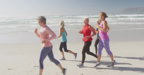 Vista Lateral Grupo Amigas Caucásicas Disfrutando Tiempo Libre Una Playa — Vídeos de Stock