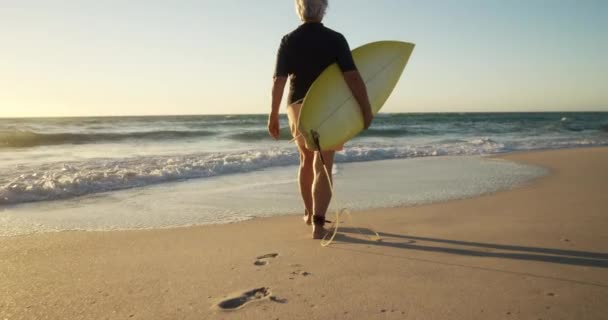 Vista Trasera Una Mujer Mayor Caucásica Una Playa Sol Caminando — Vídeos de Stock