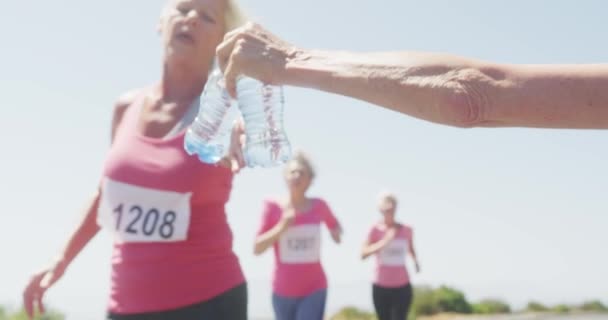 日差しの中でレースを楽しむ 晴れた日に田舎で自由な時間を楽しむシニア白人女性の手の近くにサイドビュー スローモーションでレース中に彼女の実行中の女性の友人にペットボトルの水を与えます — ストック動画