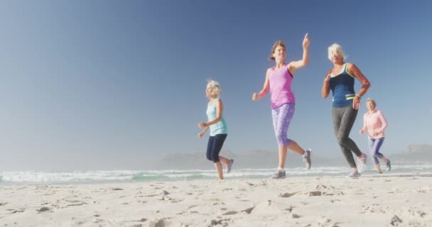 一緒に晴れた日には海沿いのビーチで自由な時間を楽しむ白人女性の友人のグループの低角度ビュー スローモーションでジョギング — ストック動画