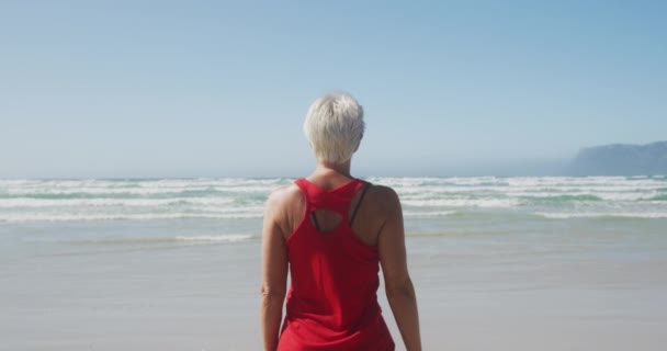 Achteraanzicht Van Een Oudere Blanke Vrouw Genietend Van Vrije Tijd — Stockvideo