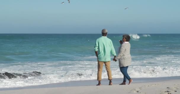 Hátsó Kilátás Egy Idős Afro Amerikai Házaspár Élvezi Időt Strandon — Stock videók