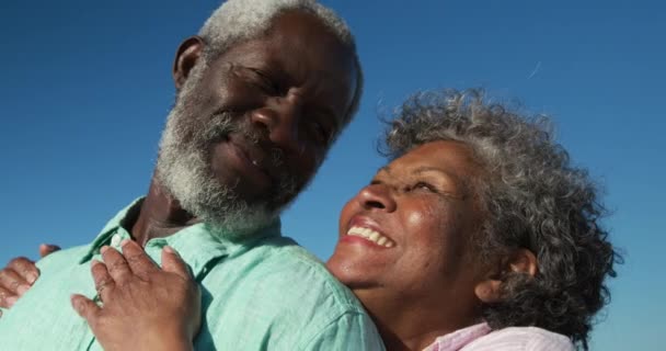 青い空を背景にビーチに立ち 互いを受け入れ スローモーションで笑顔で幸せなシニアアフリカ系アメリカ人カップルの近くのサイドビュー — ストック動画