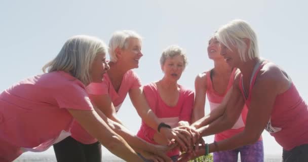 Güneşli Bir Günde Kırsal Alanda Eğlenen Bir Grup Beyaz Kadın — Stok video