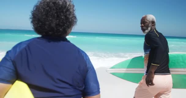 Vue Arrière Couple Afro Américain Âgé Sur Une Plage Soleil — Video