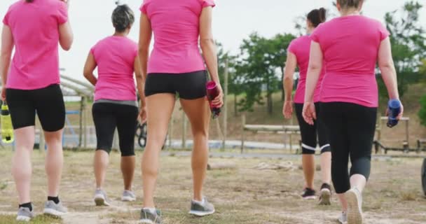 Vista Trasera Grupo Multiétnico Amigas Que Disfrutan Haciendo Ejercicio Campamento — Vídeo de stock