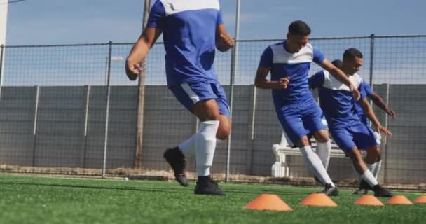 Vue Latérale Groupe Multi Ethnique Joueurs Football Masculins Portant Une — Video