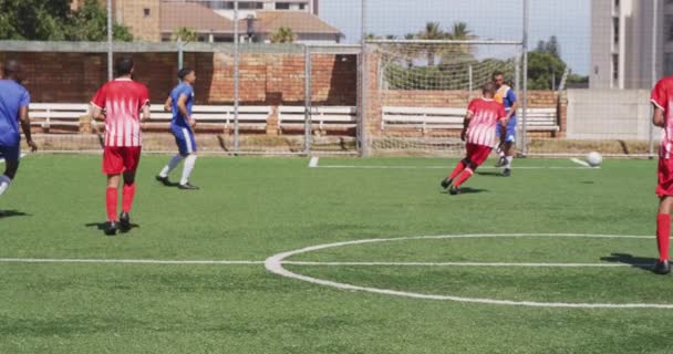 Vista Lateral Grupo Multiétnico Jugadores Fútbol Masculino Que Usan Una — Vídeos de Stock