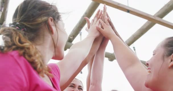 Lage Hoek Close Zijaanzicht Van Een Gelukkige Multi Etnische Groep — Stockvideo