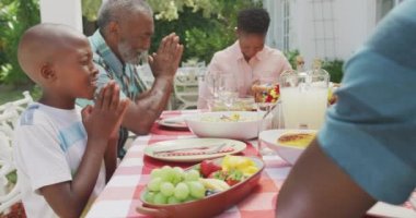 Çok nesilli, çok ırklı bir ailenin bahçede iyi vakit geçirmesini, üzerinde yemek olan bir masada oturup, güneşli bir günde, ağır çekimde el ele tutuşup dua etmesini yan görüyorum.