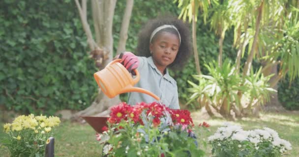 一个非洲裔美国女孩在花园里玩的很开心 在阳光灿烂的日子里 缓缓地浇灌着刚刚栽下的花 — 图库视频影像