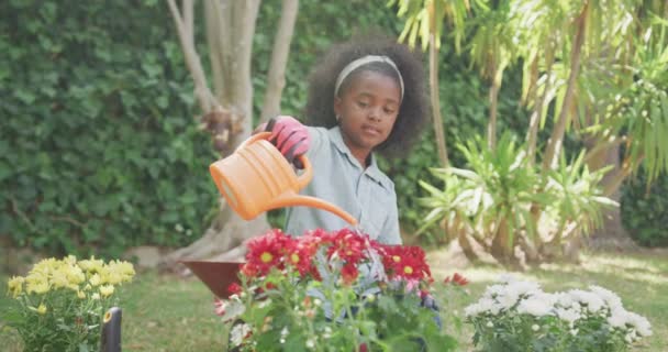 Vue Face Une Afro Américaine Qui Passe Bon Moment Dans — Video