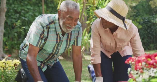Nahaufnahme Einer Afroamerikanerin Die Sich Einem Garten Amüsiert Kniet Und — Stockvideo