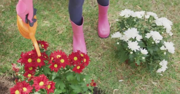 一个非洲裔美国女孩在花园里玩的很开心 在阳光灿烂的日子里 缓缓地浇灌着刚刚栽下的花朵 高角镜 — 图库视频影像
