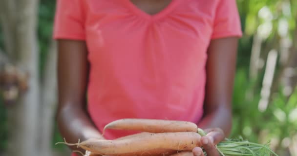 Портрет Афроамериканки Развлекающейся Саду Представляющей Свежую Морковь Улыбающейся Солнечный День — стоковое видео