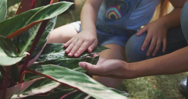一个白人妇女和她的女儿在一个阳光灿烂的花园里享受时光 一起看植物 慢慢地触摸它们的叶子 — 图库视频影像