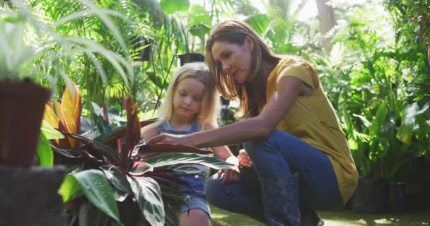 一个白人妇女和她的女儿在一个阳光灿烂的花园里享受时光 一起看植物 慢慢地触摸它们的叶子 — 图库视频影像
