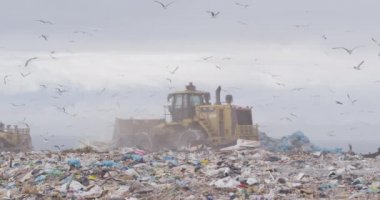 Aracın üzerinde uçan ve çöpleri temizleyen kuş sürüsü arka planda bulutlu bulutlu gökyüzü olan çöplerle dolu bir çöp yığını üzerinde ağır çekimde çalışıyor.