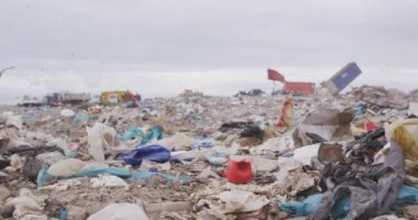 Çalışan ve çöpleri temizleyen araçların üzerinde uçan kuş sürüsü arka planda bulutlu bulutlu gökyüzü olan çöplerle dolu bir çöp yığını üzerinde ağır çekimde