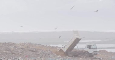 Aracın üzerinde uçan ve çöpleri temizleyen kuş sürüsü arka planda bulutlu bulutlu gökyüzü olan çöplerle dolu bir çöp yığını üzerinde ağır çekimde çalışıyor.